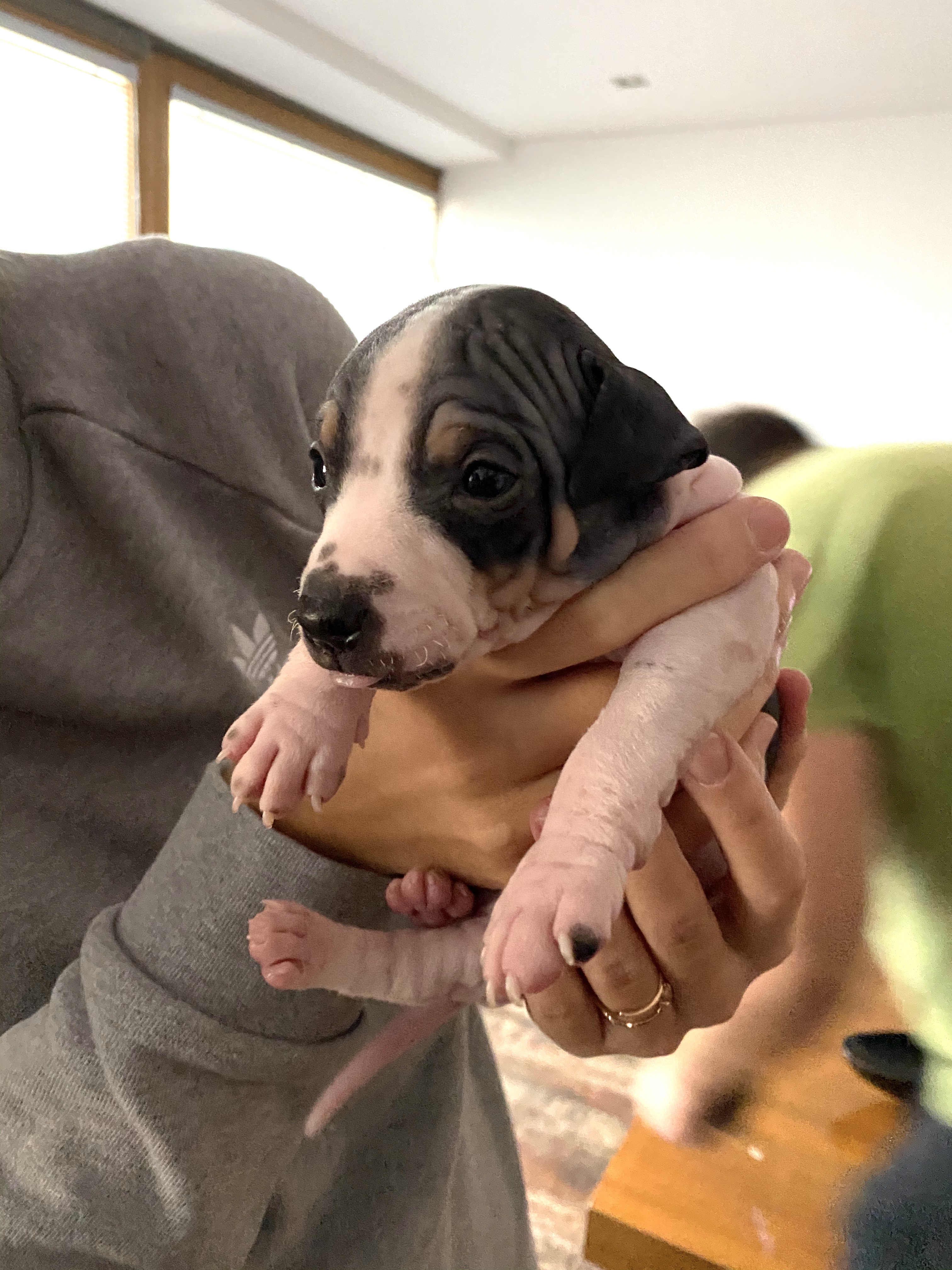 Derp from the start