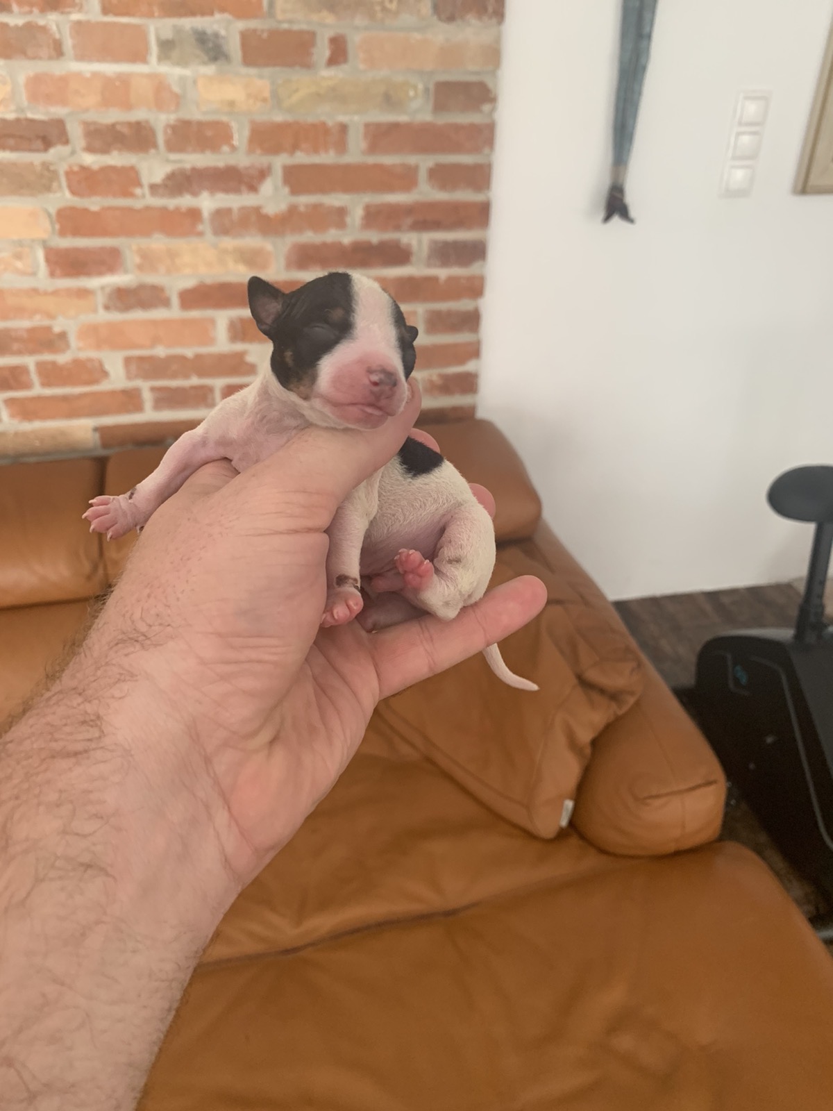 It's so tiny!!!