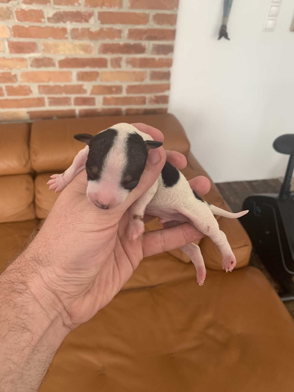 Barely 3 days old